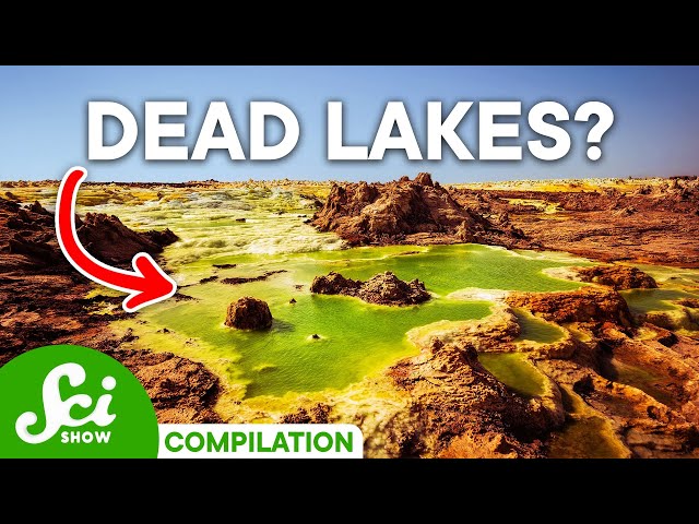 The 5 Wildest Lakes on Earth | Compilation
