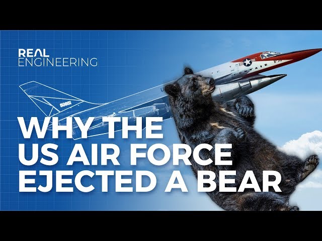 Why The US Airforce Ejected a Bear
