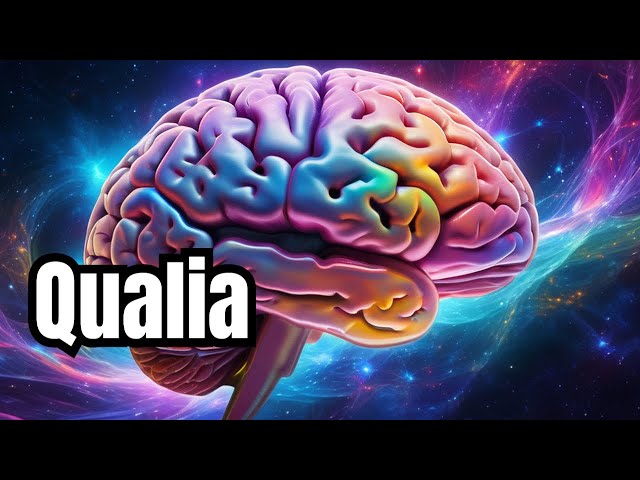 What is Qualia?