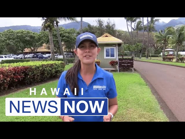 Maui Marathon returns but major changes are planned after wildfires