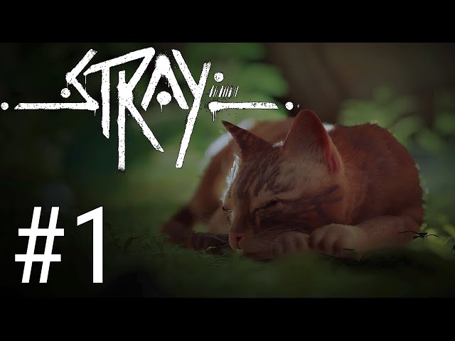 Itty Bitty Witty Kitty Game - Stray - Part 1