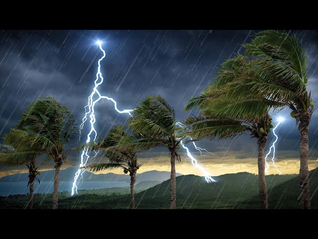 Tropical Storm Thunder and Rain Sounds | 10 Hours White Noise | Helps You Sleep or Study