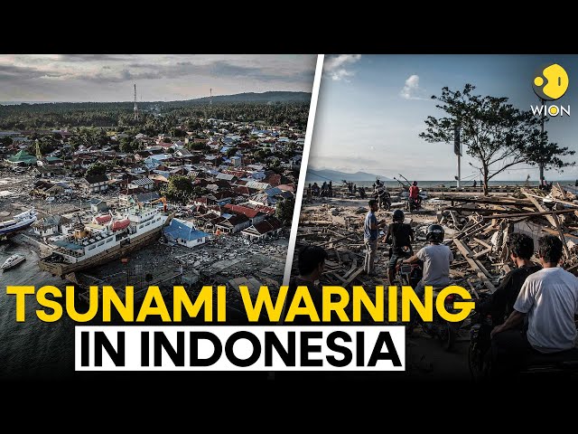 Indonesia issues Tsunami warning after Ruang volcano eruption peaks I WION Originals