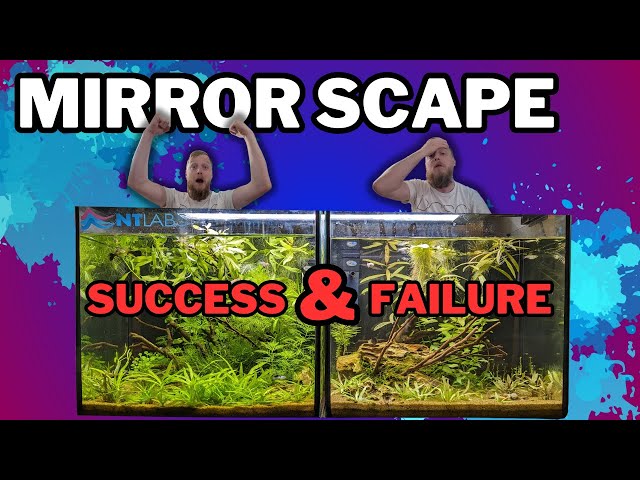 Mirror Scape: So much growth!!! (FINAL UPDATE)