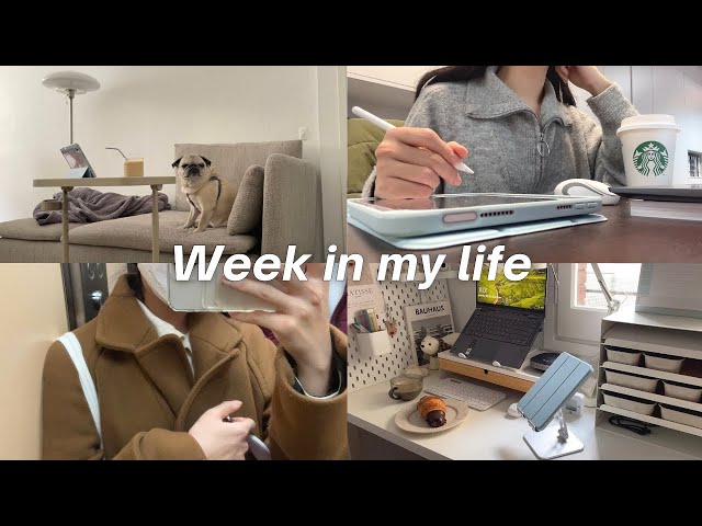 a productive Week in my life vlog | lots of study done for exams, huge Ikea home haul and assembling