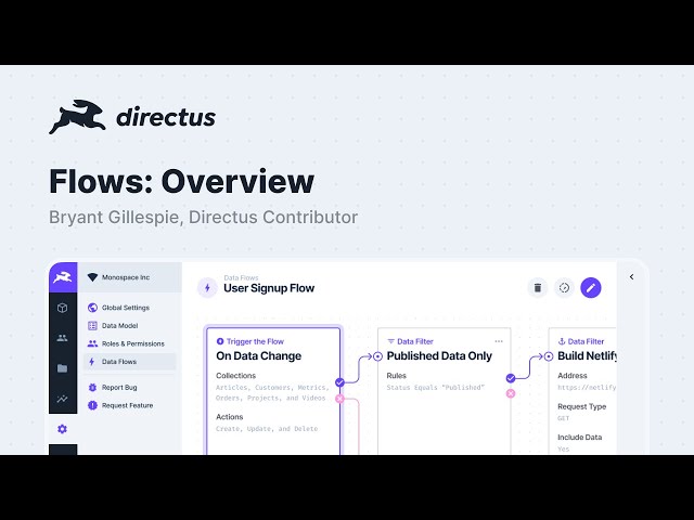 Learn How Easy it is to Automate Data Processing Tasks in our Directus Flows Overview
