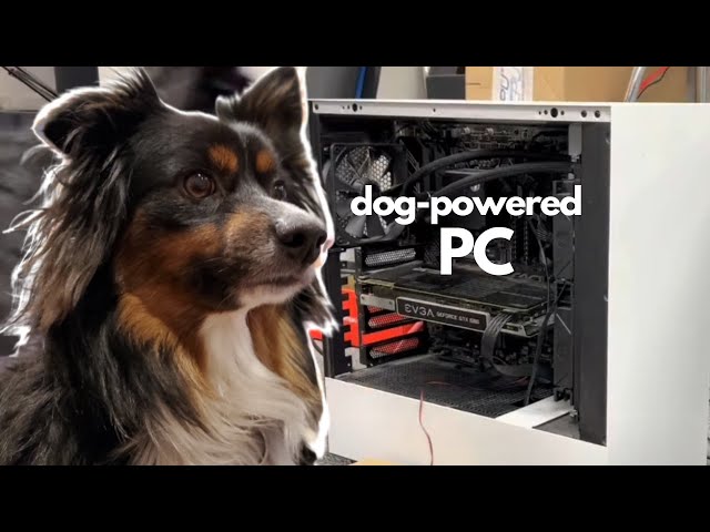 The Dog Who Mastered Technology