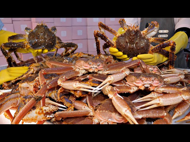 We sell 8,000 per month! Fresh Giant king crab, lobster / Korean street food