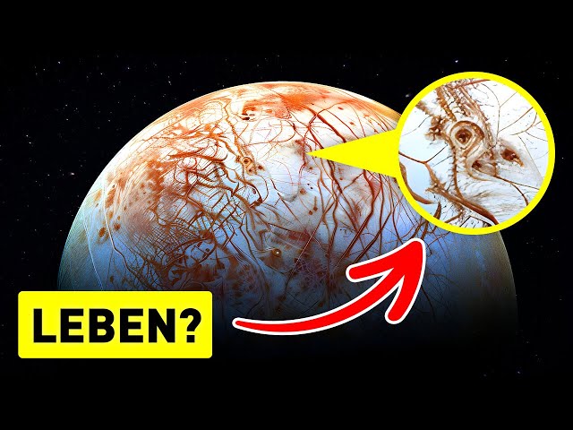 Auf der Suche nach Leben: Enthüllung der Geheimnisse von Europa, Mars und Venus