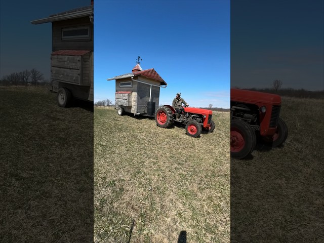 We’re Finally Moving the Coop!