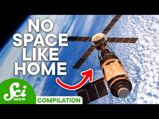What Is A Home? | Compilation