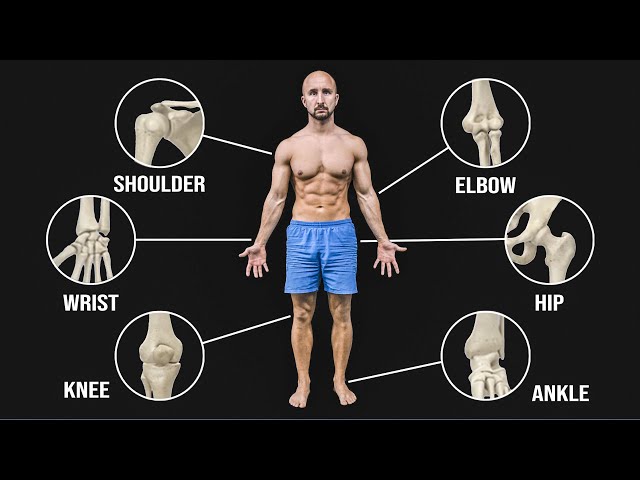 The BEST Mobility Exercises For Each Joint!