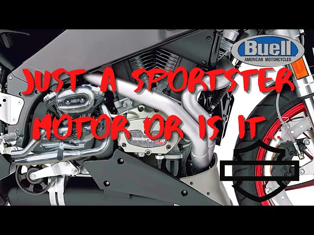 Buell was nothing but a Sportster Engine, Well Sorta...