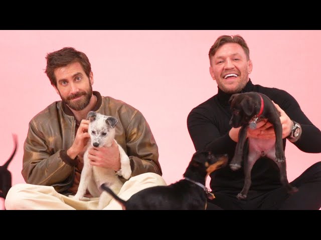 Jake Gyllenhaal and Conor McGregor: The Puppy Interview
