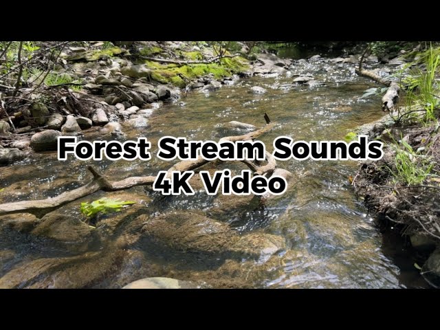 Forest Stream Sounds - Natural & Uncut (Calming & Relaxing) 4K