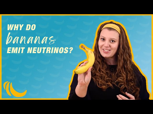 Why do bananas emit neutrinos? | Even Bananas 03