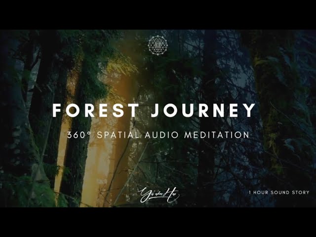 FOREST OF INTENTION | VIBRATIONAL THERAPY | MANIFEST ANYTHING -  SOUND JOURNEY MEDITATION | 432hz