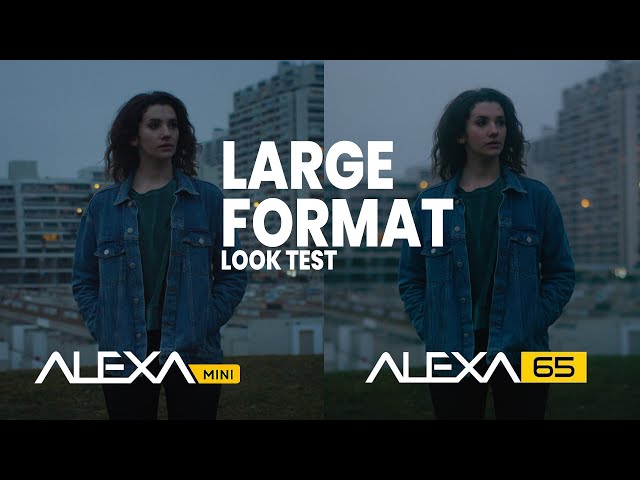 Arri Alexa 65 vs. Alexa Mini - Large Format Look Test (s35mm / 65mm)