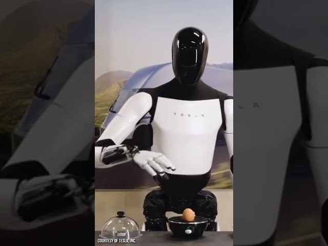 Did Tesla CHEAT in this Optimus Robot Video and use a FAKE EGG?