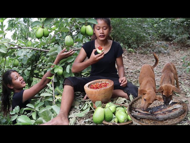 Survival in the rainforest- Catch two fish Cook for dog and Guava fruit with Salt chili for lunch