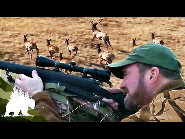 Wardens: The Guardians of the Wild | Hunting Poachers | FD Adventure