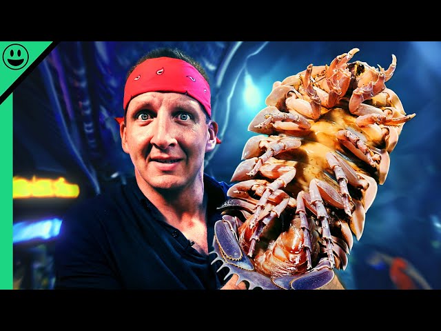 Eating Vietnam's COCKROACH OF THE SEA!! It's Bigger Than My Head!