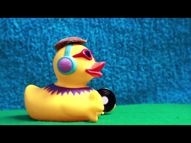 Fowl Play  - Captain Flatcap (Official Music Video)