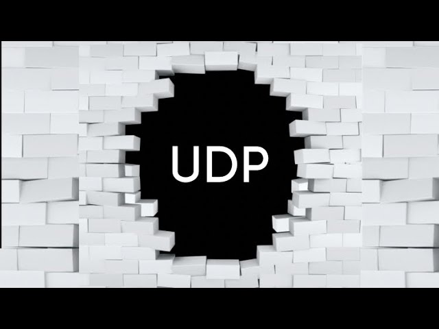 UDP hole punching | The Backend Engineering Show