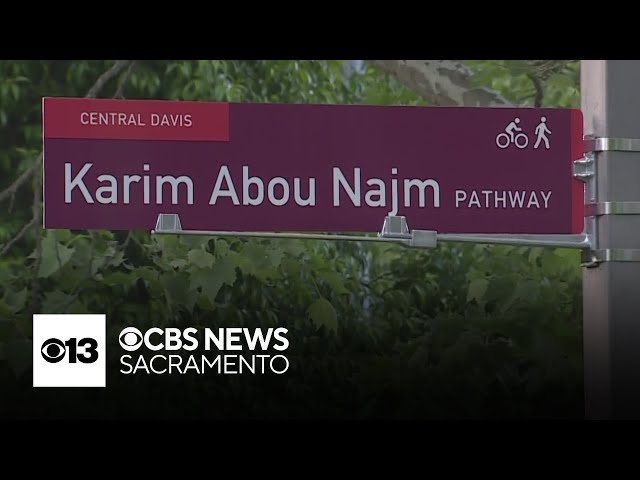 Davis stabbing spree victim honored in Sycamore Park event
