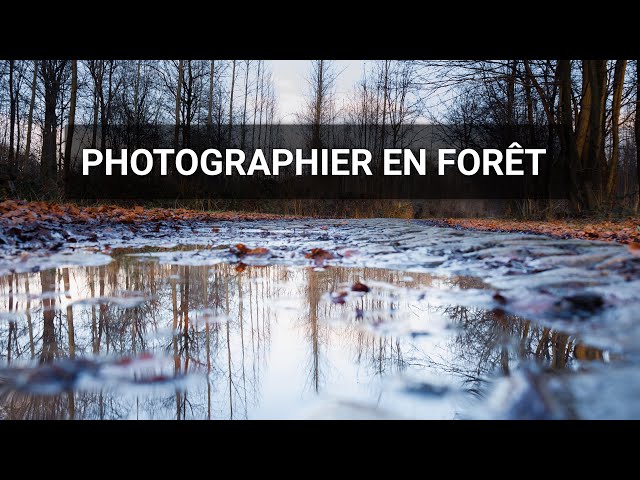 LANDSCAPE PHOTOGRAPHY : shoot in the forest ! POV with Canon R6 + RF 24-105mm F4-105mm F4-7.1 IS STM