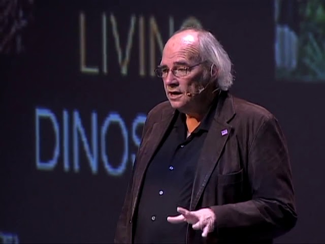 How to find dinosaurs? Jack Horner - CDI 2011