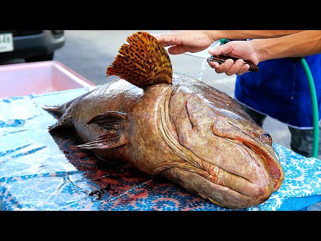Thai Street Food - GIANT FRIED GROUPER FISH Bangkok Seafood Thailand