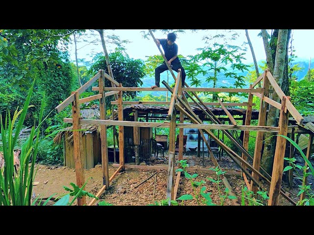 Preparing for a new home, Work quickly on a rainy day - Green forest life | Ep.450