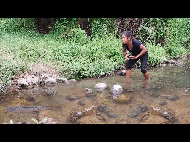 Survival skills: Catch fish and Snails in River  - Cooking fish & Snails Eating delicious with dog