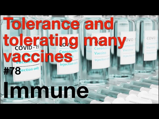 Immune 78: Tolerance and tolerating many vaccines