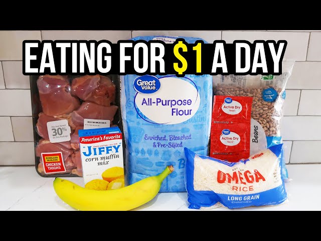 Eating for $1 a Day: Cheap and Healthy Meal Ideas You Need to Try