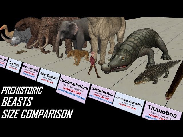 Prehistoric Beasts Size Comparison