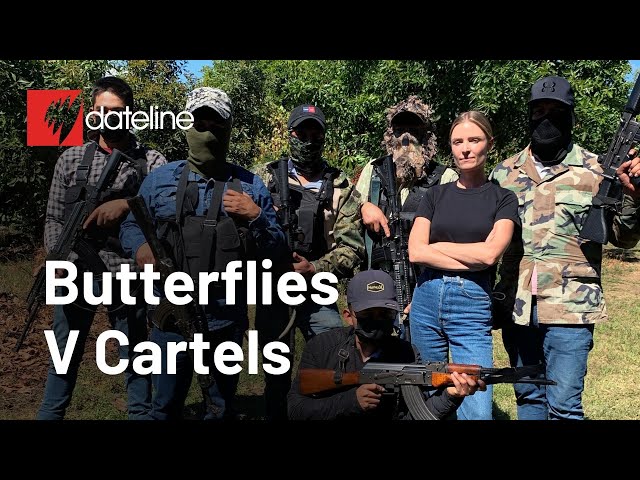Mexican cartels threatening rare butterfly forest in Michoacán | Full Episode | SBS Dateline