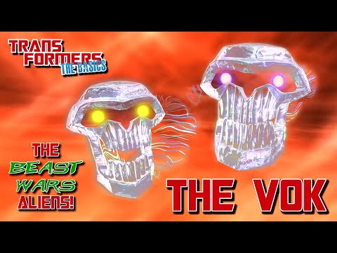 TRANSFORMERS: THE BASICS on THE VOK