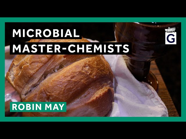 Microbial Master-Chemists