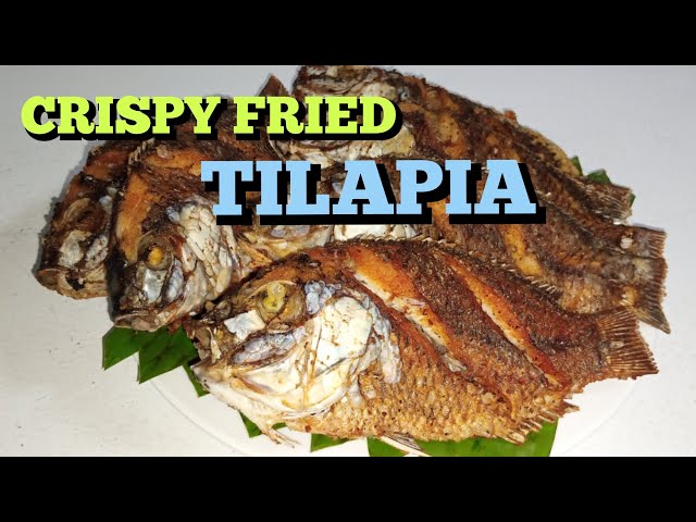 CRISPY FRIED TILAPIA  || TILAPIA RECIPE || PANLASANG PINOY #tilapya #tilapiafish