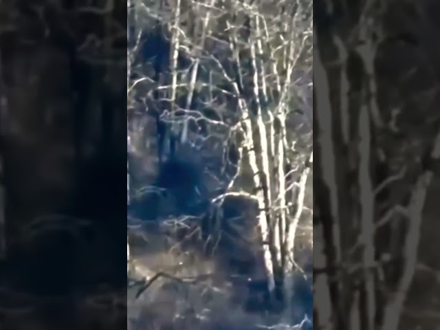 Watch this Ukrainian Drone Do the Impossible: Fly Through Trees and Hit its Target!