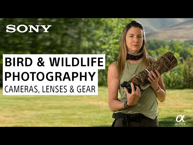 Bird & Wildlife Photography Tutorial: What's In My Bag with Melissa Groo