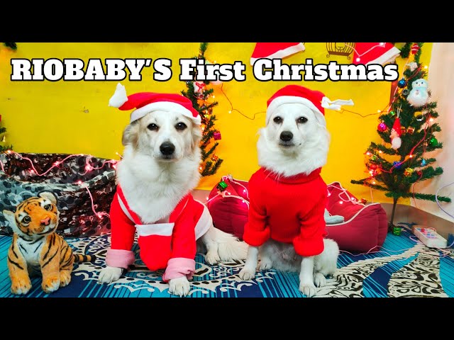 RIOBABY'S FIRST CHRISTMAS 2020 | Christmas Vlog