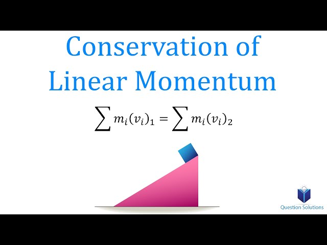 Conservation of Linear Momentum (Learn to solve any problem)