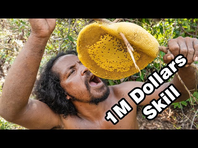1M Dollars Skills! Brave Bushman Harvesting Beehive with Bare Handed and Eating Delicious