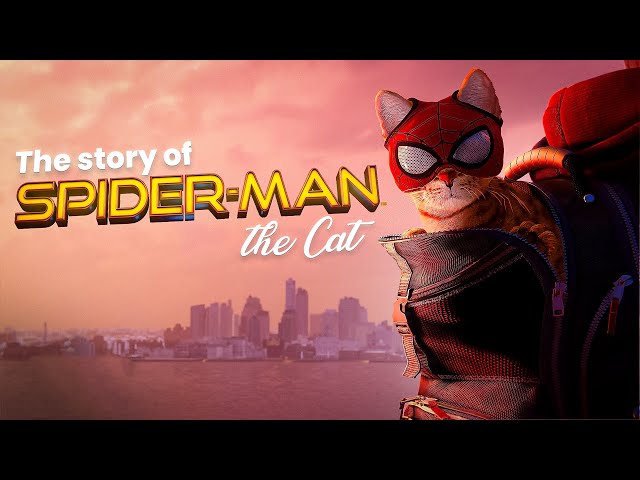 The Story of Spider-Man the Cat | Marvel’s Spider-Man - Miles Morales