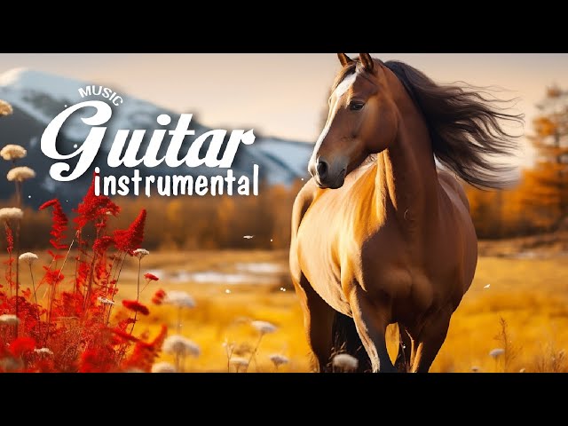 Romantic Guitar Song Helps You Relax and Let Go of All Troubles / TOP BEAUTIFUL GUITAR SONGS