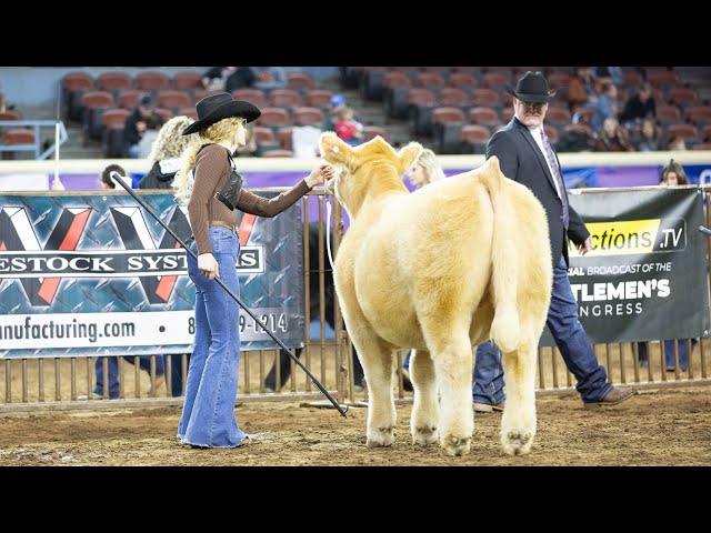 Competing with my prospect steer at a major cattle show, OKC Cattlemen’s Congress