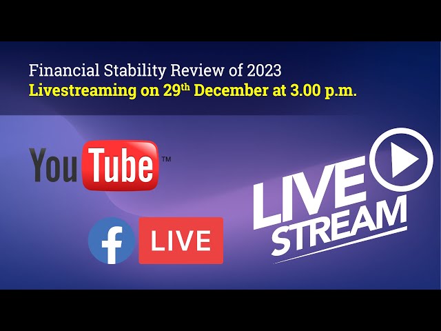 Financial Stability Review of 2023